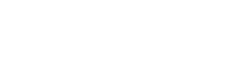 Welbe logo