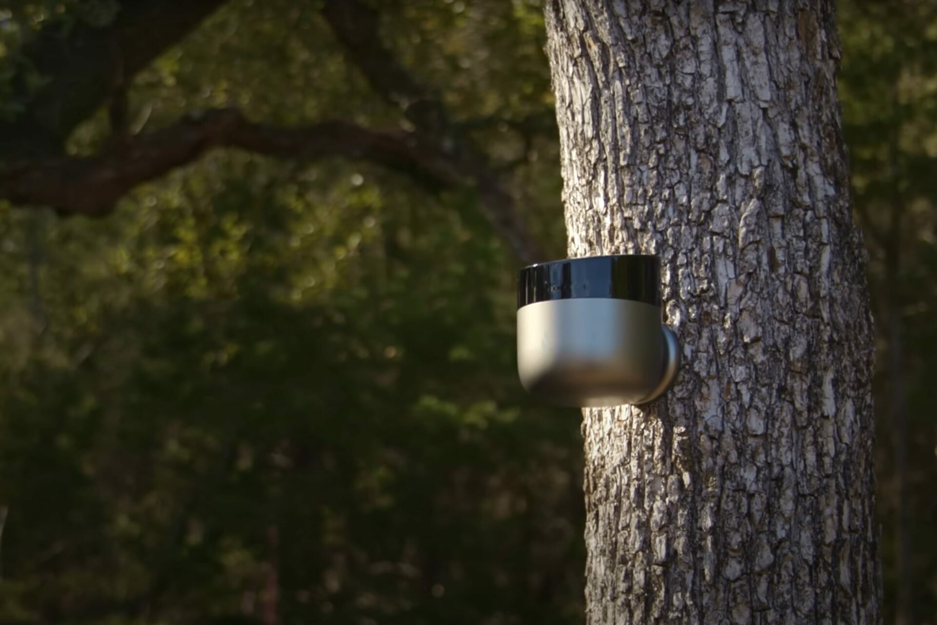 Torch Sensors product. Click to read the article 'Torch Startup Says Its Outdoor Sensors Can Help Snuff Out Wildfires.'